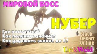 Мировой Босс Нубэр: Как найти? Как получить знание на Нубэра?