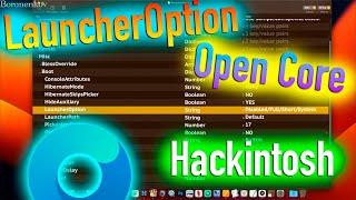 LAUNCHER OPTION | OPEN CORE | HACKINTOSH! - ALEXEY BORONENKOV | 4K