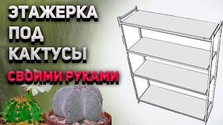 Этажерка (полочки)  для кактусов и суккулентов своими руками. Уход за кактусами.