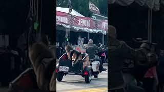 Rolling Deep with My Dog – Harley Style!