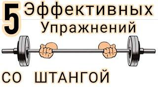 5 эффективных упражнений со штангой. Тренировка дома