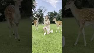 Deer kicks woman for cookies #deer #funny #cookies #shorts