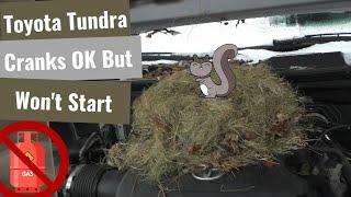 Toyota Tundra: Crank, No Start