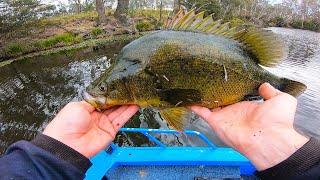 This Fishing Spot ALWAYS Produces Murray Cod & Yellowbelly!