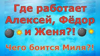 Деревенский дневник очень многодетной мамы \ Где работает Лёша, Федя и Женя? Чего боится Миля? Обзор