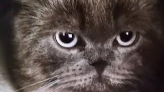 Позвонила мама во время съёмки.