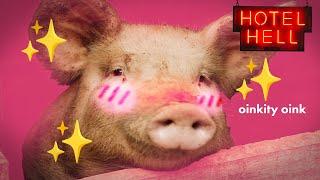 bro treats his pigs better than his staff | Hotel Hell | Gordon Ramsay