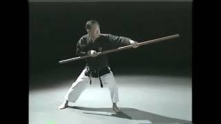 Matayoshi Kobudo Instructional DVD Bo, Tonfa, Nunchaku, Eku