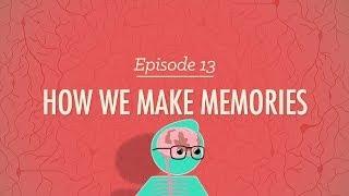 How We Make Memories: Crash Course Psychology #13