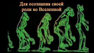 Киматика 2009, Документальный фильм Бена Стюарта с переводом на русский Kymatica Esoteric Agenda II