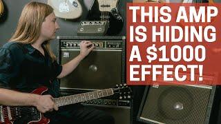 This Amp is Hiding a $1000 Effect!