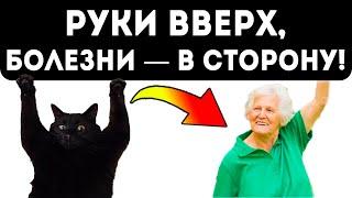 Потянись — оздоровись! Вот зачем каждый день поднимать руки вверх хотя бы на 1 мин