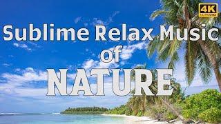 Sublime Relax Music of Nature