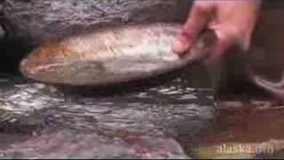 Alaska.org - Valdez Alaska: Even Mother Nature Has Her ...