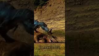 Gorgosaurus meets giganotosaurus#walkingwithdinosaurs#jurassicworlddominion#jurassicworld