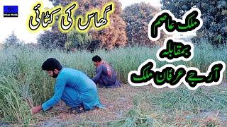 Grass katny ka muqabla|Rj irfan malik|