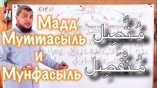 Урок № 18: Мадд муттасыль (Соединённый) Мадд мунфасыль (Разъединённый)