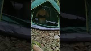 girl solo camping #shorts #solocamping