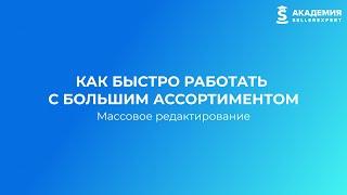 8.5 Как быстро работать с большим ассортиментом на маркетплейсах. Курс Академии SellerExpert.