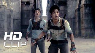 The Maze Runner | 'Runners' | Clip HD