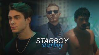 Turkish Multimale | STARBOY