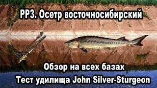 РР3. Осетр восточносибирский (сибирский). Тест удилища John Silver-Sturgeon