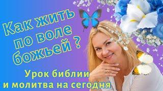  Библия на сегодня Как жить по воле Бога?