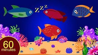 Bedtime Lullabies and Calming Undersea Animation Baby Lullaby#Baby sleep music stv#07