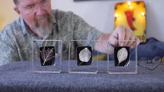 Leaf Photograms