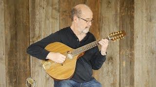 What is a Cittern? | Elderly Instruments