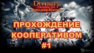 Divinity: Original Sin — Enhanced Edition Прохождение на русском #1