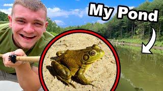 Let's Go Frog Gigging in My Pond!