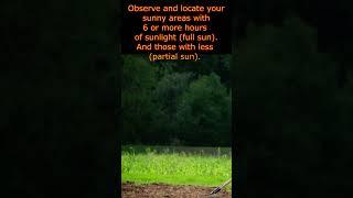 Want To Plant Some Food? Where to Plant It? Epi 4