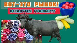 Minsk! КОМАРОВСКИЙ РЫНОК! КУПИТЬ, ПРОДАТЬ! Market, Belarus, Minsk!