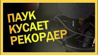 Паук для рекордера Zoom h1n (Держатель паук для микрофона) #распаковка #обзор