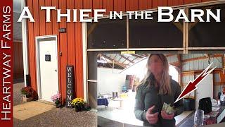 Thief in the Barn! We Caught Her Stealing On the Ring Camera | Security System | Heartway Farms