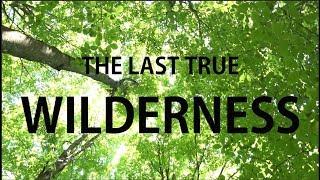 The Last True Wilderness (2017)