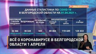 Всё о коронавирусе в Белгородской области 1 апреля