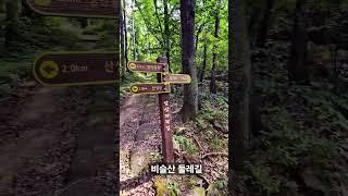 #tracking #비슬산 둘레길 #앞산자락길 #달비골