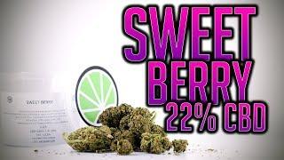 SWEET BERRY 22% CBD | JustBob