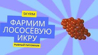 Где взять лососевую икру в Skyrim? Фарм через рыбный питомник