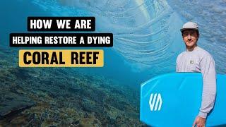 Helping Restore Bali's Coral Reefs – Bodyboard Holidays