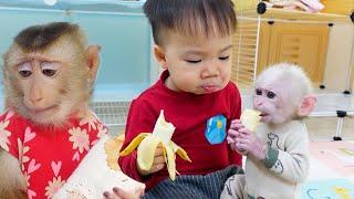 Poki the monkey is happy with Pupu when Nguyen shares bananas