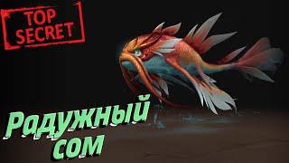 РАДУЖНЫЙ СОМ - Как получить секретный облик на друида в World of Warcraft: Dragonflight 10.2