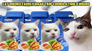 CAT MEMES FAMILY ROAD TRIP COMPILATION FULL 2 HOURS