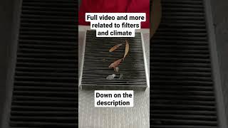 importance of cabin air filters. avoid respiratory problems #car #shorts #health