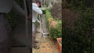Pressure Washing Concrete Pavers