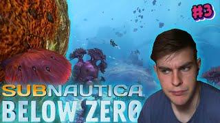 ГДЕ НАЙТИ ОБРАЗЕЦ КОРАЛЛОВ В Subnautica Below Zero? | #3