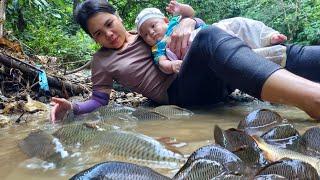 FULL VIDEO : An 80-day journey with my children to catch fish and trap fish to sell