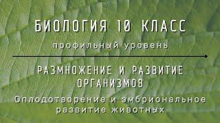 Биология 10 кл Проф уровень §42 Оплодотворение и эмбриональное развитие животных